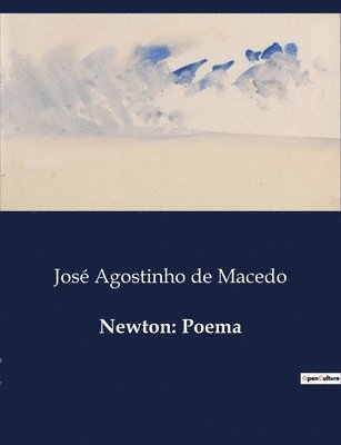 bokomslag Newton