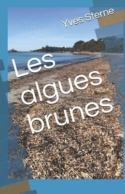 bokomslag Les algues brunes