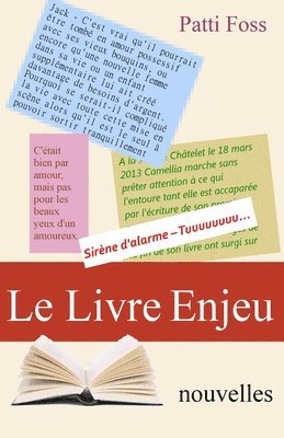 bokomslag livre enjeu