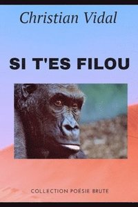 bokomslag Si t'es filou: Poésie performance