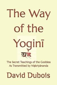 bokomslag Way of the Yogin?