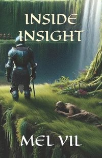 bokomslag Inside Insight