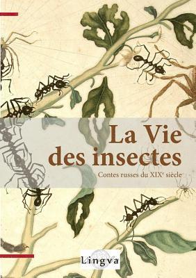 Vie des insectes