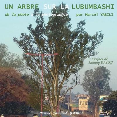 De la photo à la photographie: Un arbre sur la Lubumbashi 1