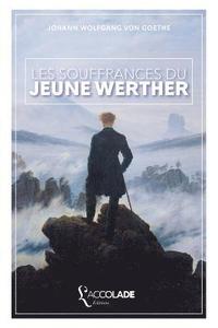 bokomslag Les Souffrances du Jeune Werther: bilingue allemand/français (+ audio intégré)
