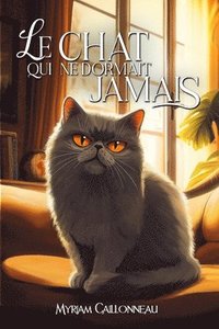 bokomslag Le chat qui ne dormait jamais