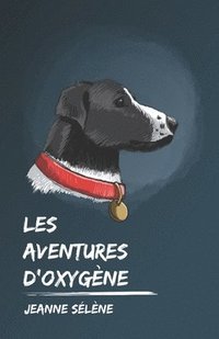 bokomslag Les aventures d'Oxygène