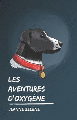 bokomslag Les aventures d'Oxygene