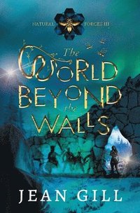 bokomslag The World Beyond the Walls