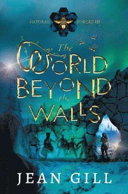 bokomslag World Beyond the Walls