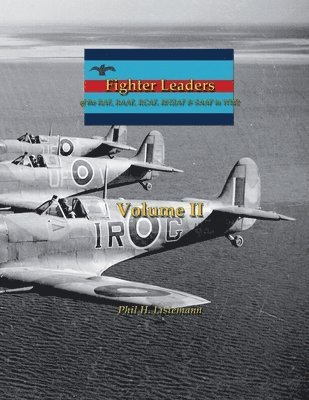 bokomslag Fighter Leaders of the RAF, RAAF, RCAF, RNZAF & SAAF in WW2