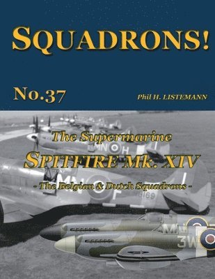 The Supermarine Spitfire Mk XIV 1