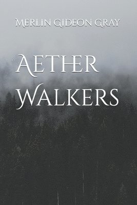 bokomslag Aether Walkers