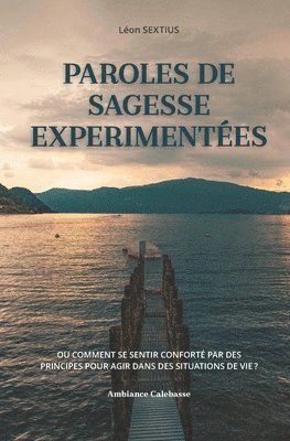 bokomslag Paroles de sagesse expérimentées: Ou comment se sentir conforté par des principes pour agir dans des situations de vie ?