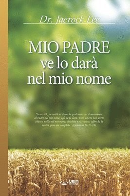 Mio Padre ve lo dara nel mio nome 1