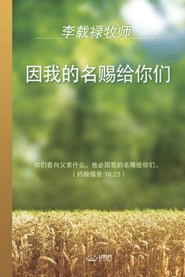 bokomslag &#22240;&#25105;&#30340;&#21517;&#36176;&#32473;&#20320;&#20204;(Chinese Edition)