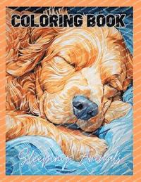 bokomslag Coloring Sleeping Animals