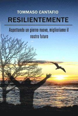 bokomslag Resilientemente