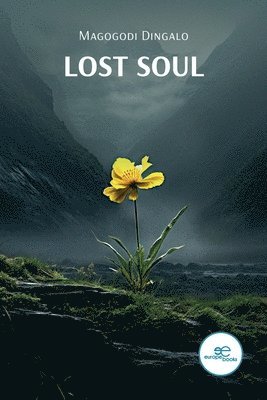 bokomslag LOST SOUL