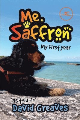 ME, SAFFRON (MY FIRST YEAR) 1