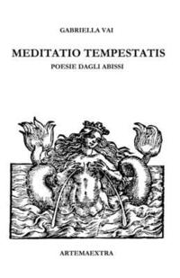 bokomslag Meditatio Tempestatis