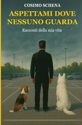 Cosimo Schena - Aspettami dove nessuno guarda, Häftad
