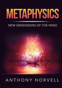 bokomslag Metaphysics - New Dimensions of the Mind
