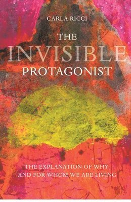 bokomslag Invisible Protagonist