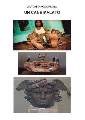 Antonio Accordino - cane malato, Häftad