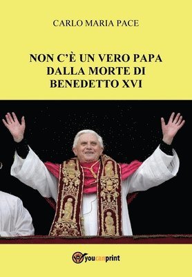 bokomslag Non c'è un vero Papa dalla morte di Benedetto XVI