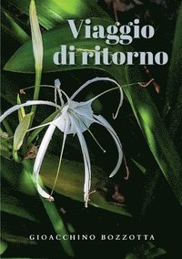 bokomslag Viaggio di ritorno