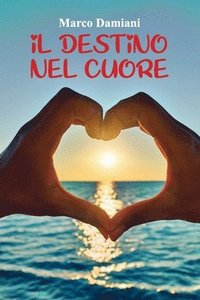 bokomslag destino nel cuore