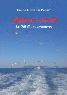 bokomslag Gabbiani Impazziti