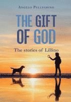 Angelo Pellegrino - Gift of God, Häftad
