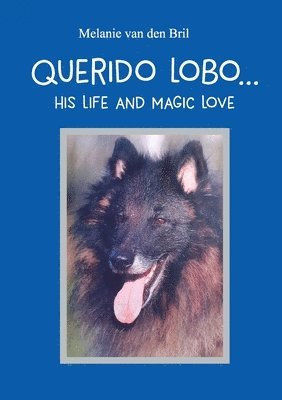 bokomslag Querido Lobo... his life and magic love