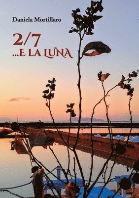 2/7... e la LUNA 1