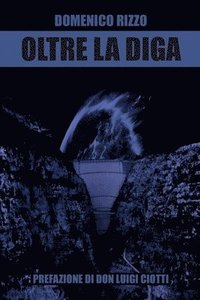 bokomslag Oltre la diga