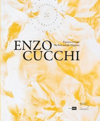 bokomslag Enzo Cucchi