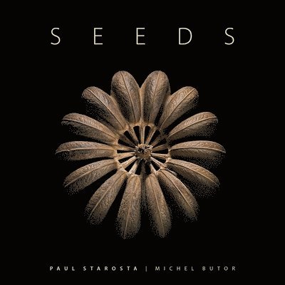 Seeds 1