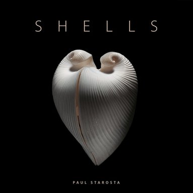 Paolo Portoghesi - Shells, Inbunden