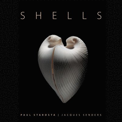 Paolo Portoghesi - Shells, Inbunden