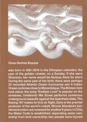 Lucia Aspesi, Fiammetta Griccioli - Dineo Seshee Bopape, Häftad