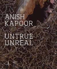 bokomslag Anish Kapoor: Untrue Unreal