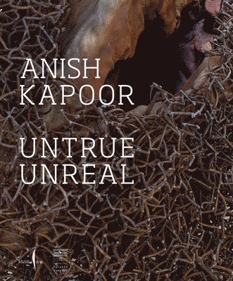 Anish Kapoor: Untrue Unreal 1