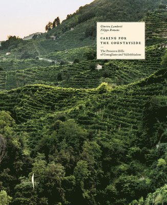 Caring for the Countryside: The Prosecco Hills of Conegliano and Valdobbiadene 1