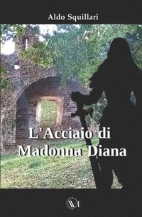 bokomslag L'Acciaio di Madonna Diana