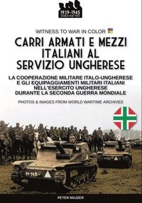 bokomslag Carri armati e mezzi italiani al servizio ungherese