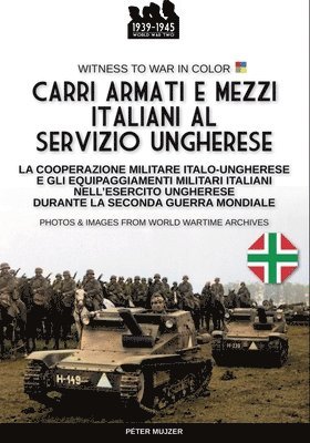 Carri armati e mezzi italiani al servizio ungherese 1