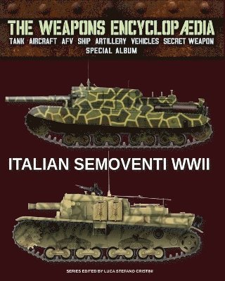 bokomslag Italian Semoventi WWII