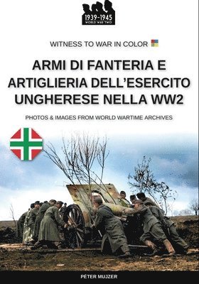 Armi di fanteria e artiglieria dell'esercito ungherese nella WW2 1